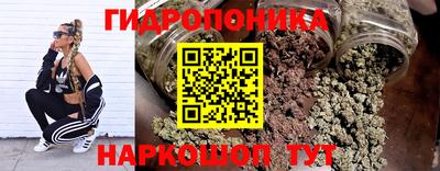 apvp Канаш