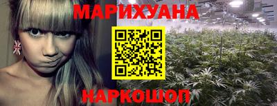 apvp Канаш