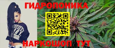 спайс Кандалакша