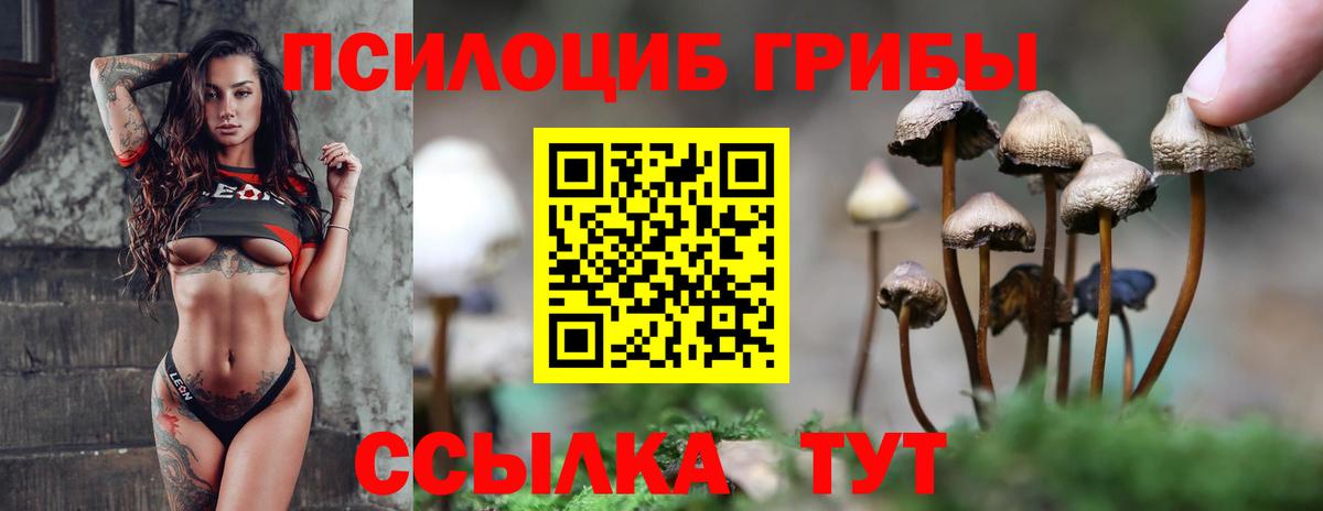 Псилоцибиновые грибы Cubensis  Вход с VPN  Зеленокумск  Галлюциногенные грибы GOLDEN TEACHER 